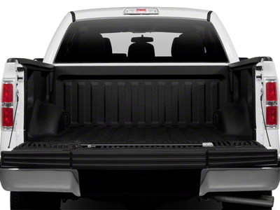 2010 Ford F-150 XLT