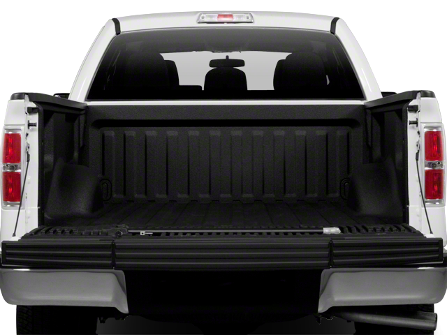 2010 Ford F-150 XLT
