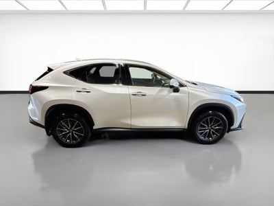 2024 Lexus NX NX 350