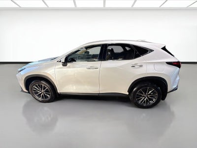2024 Lexus NX NX 350